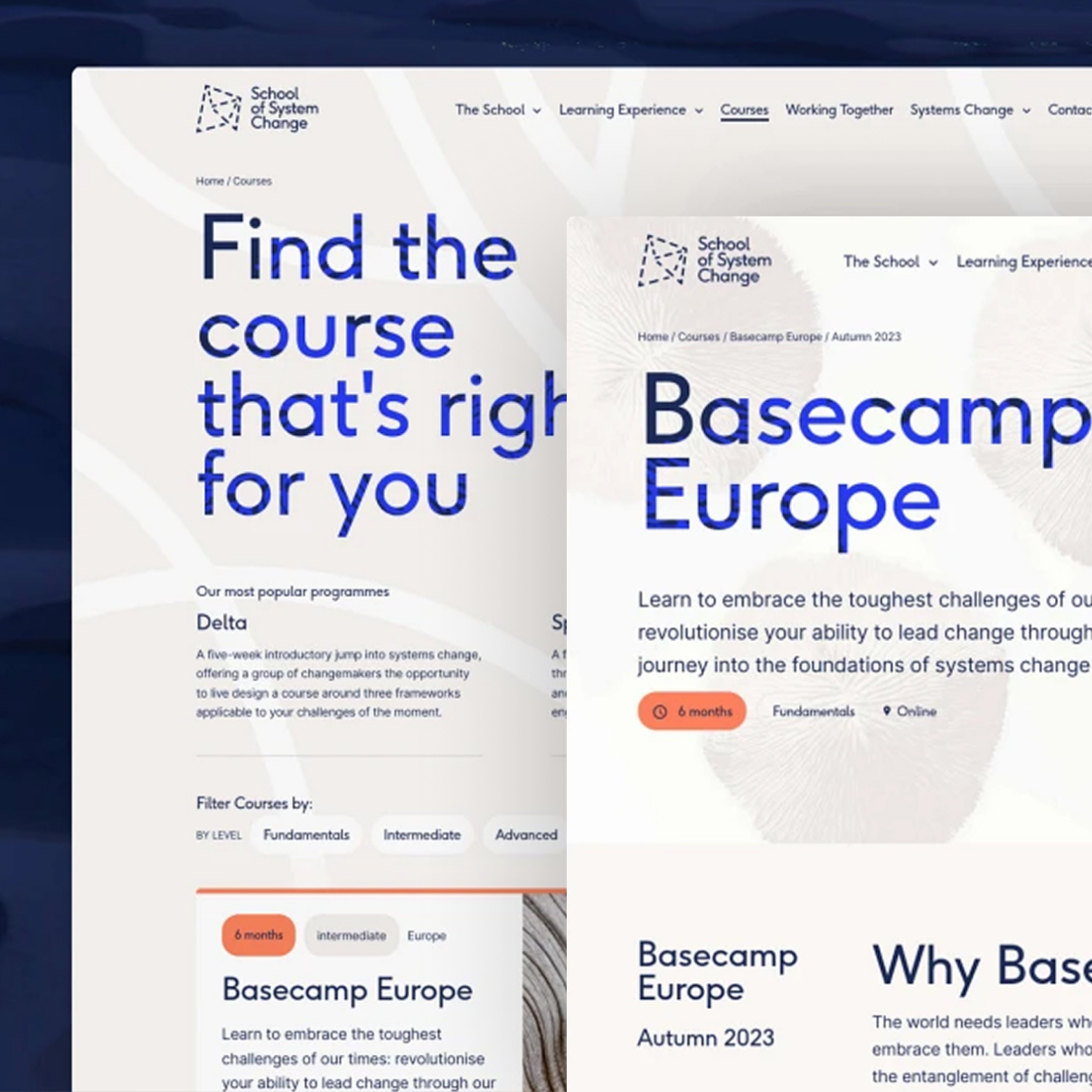 School of System Change website