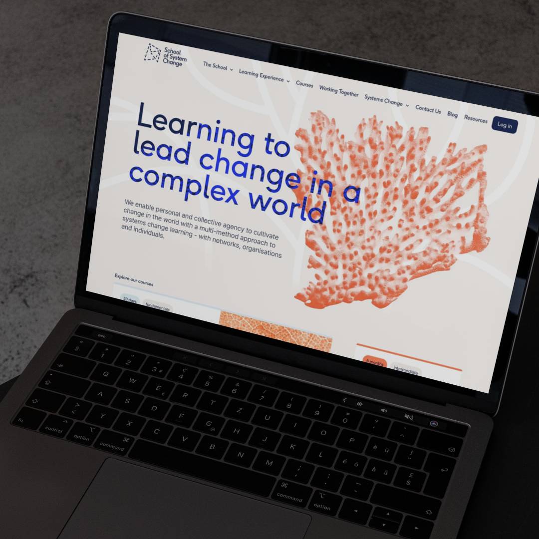School of System Change website