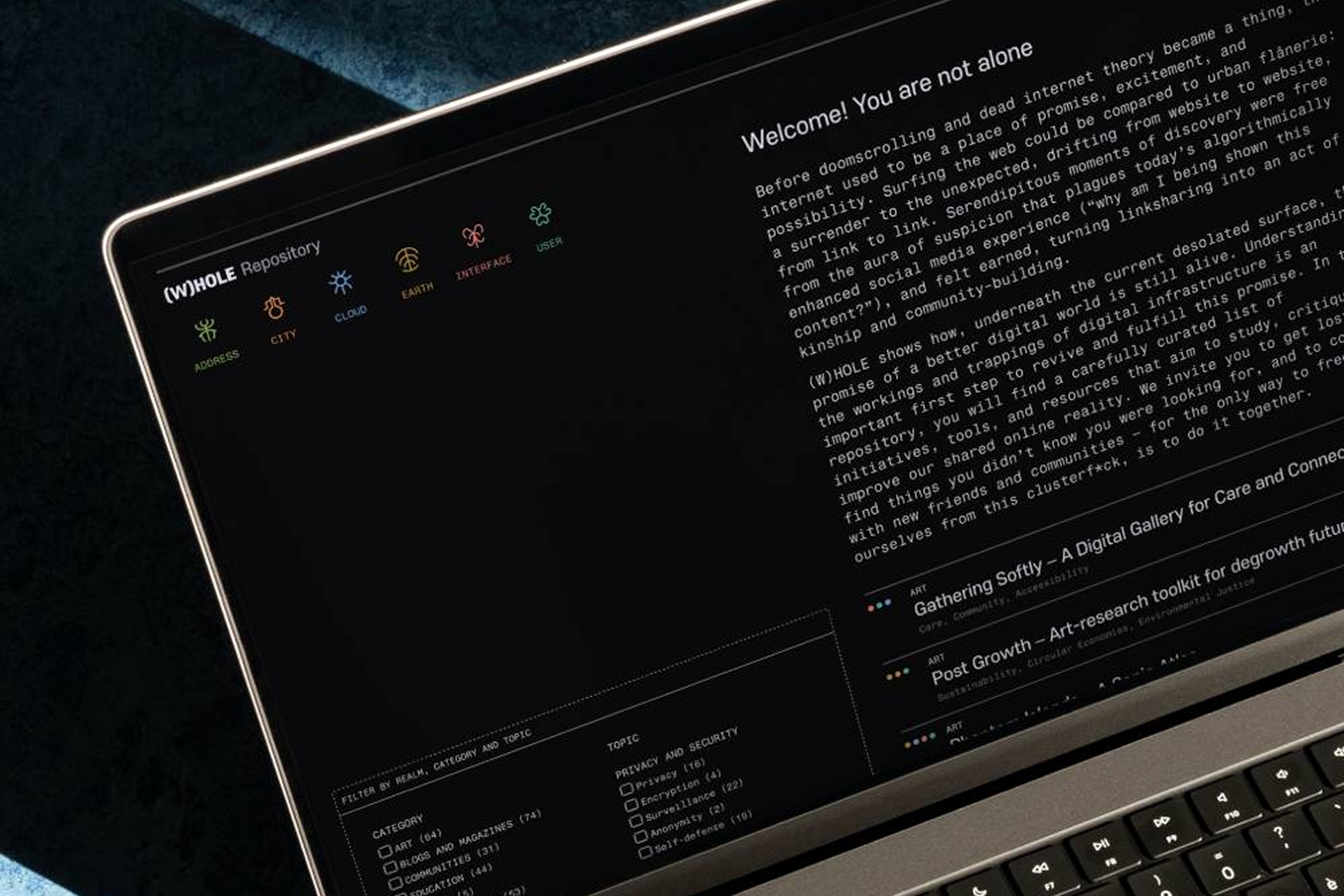 The (W)hole Project website